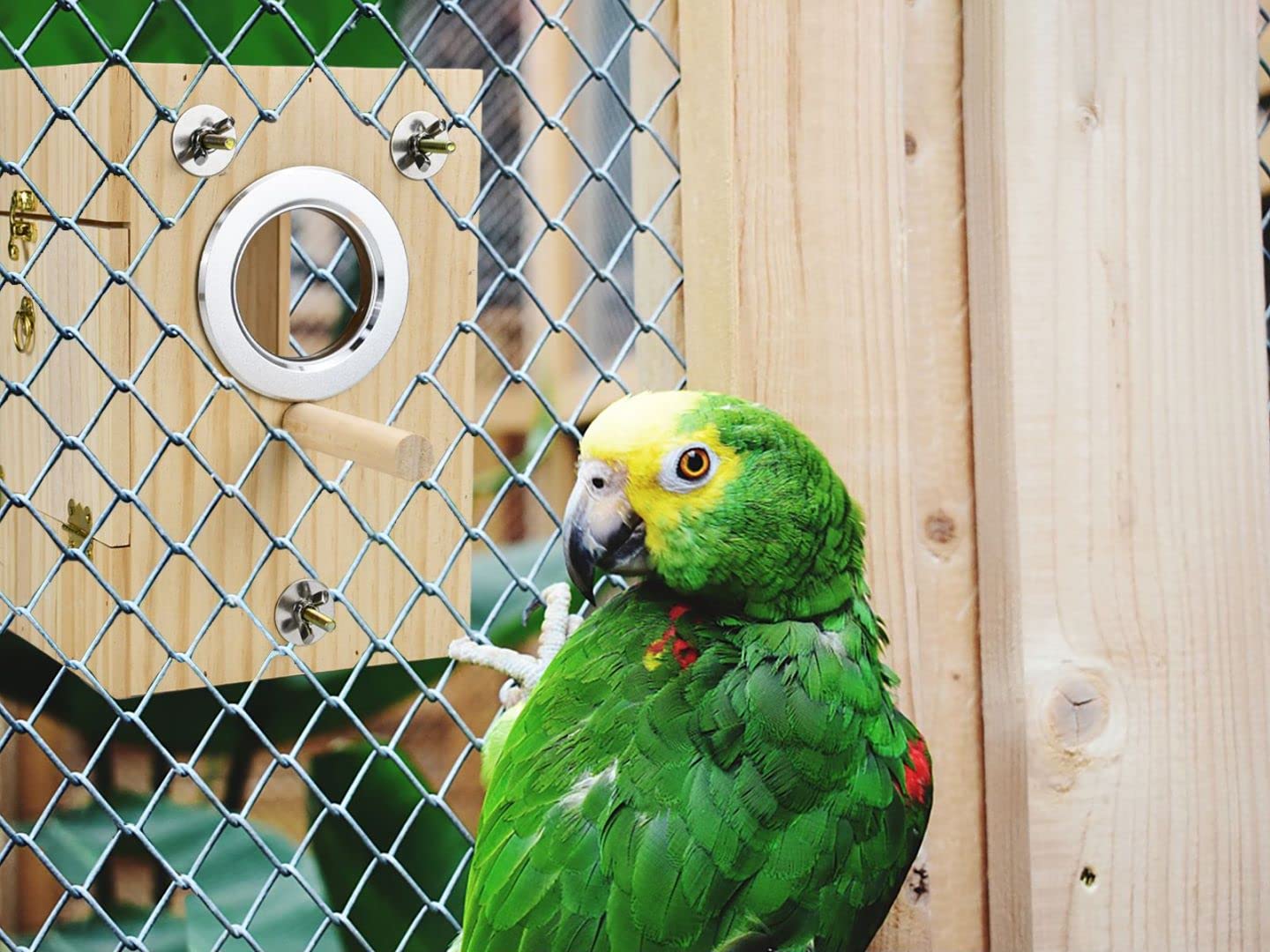CooShou nido tamaño S M L para loros pequeños