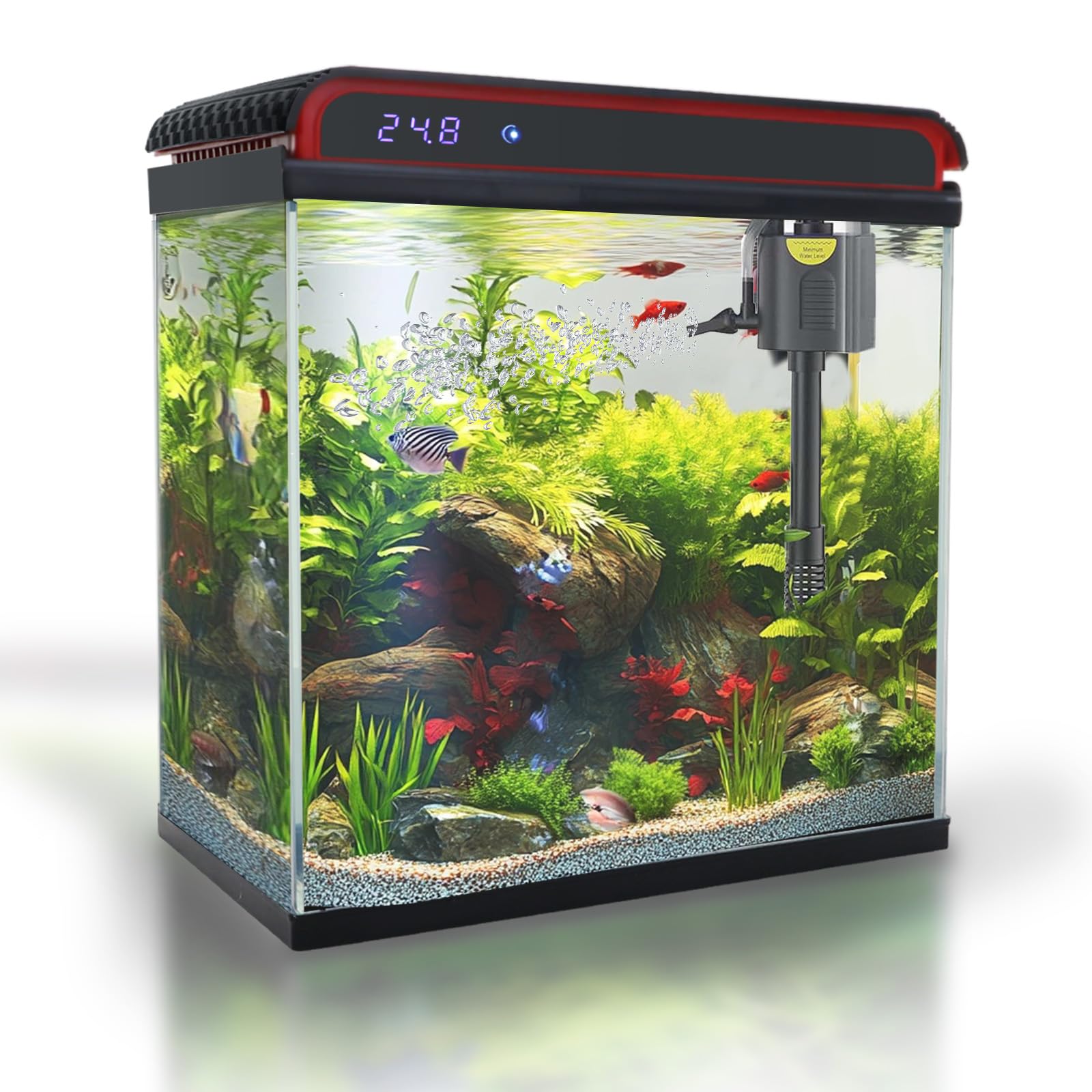 COOSPIDER acuario 20 galones, vista frontal clara para observar bettas.