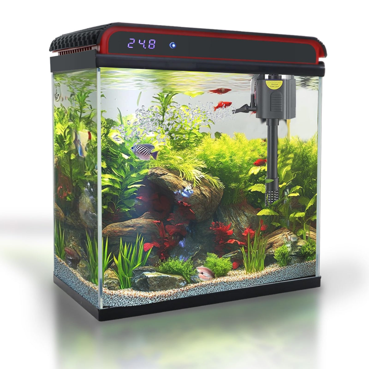 COOSPIDER acuario 20 galones, vista frontal clara para observar bettas.