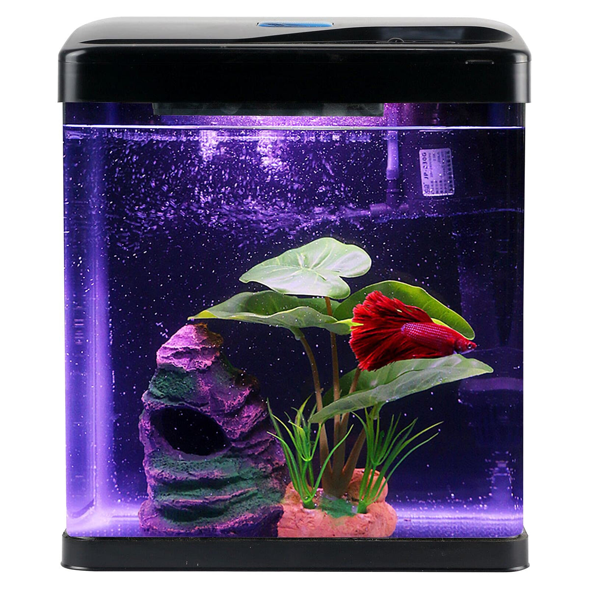 COOSPIDER Betta tanque 2 galones en vidrio claro para observar peces