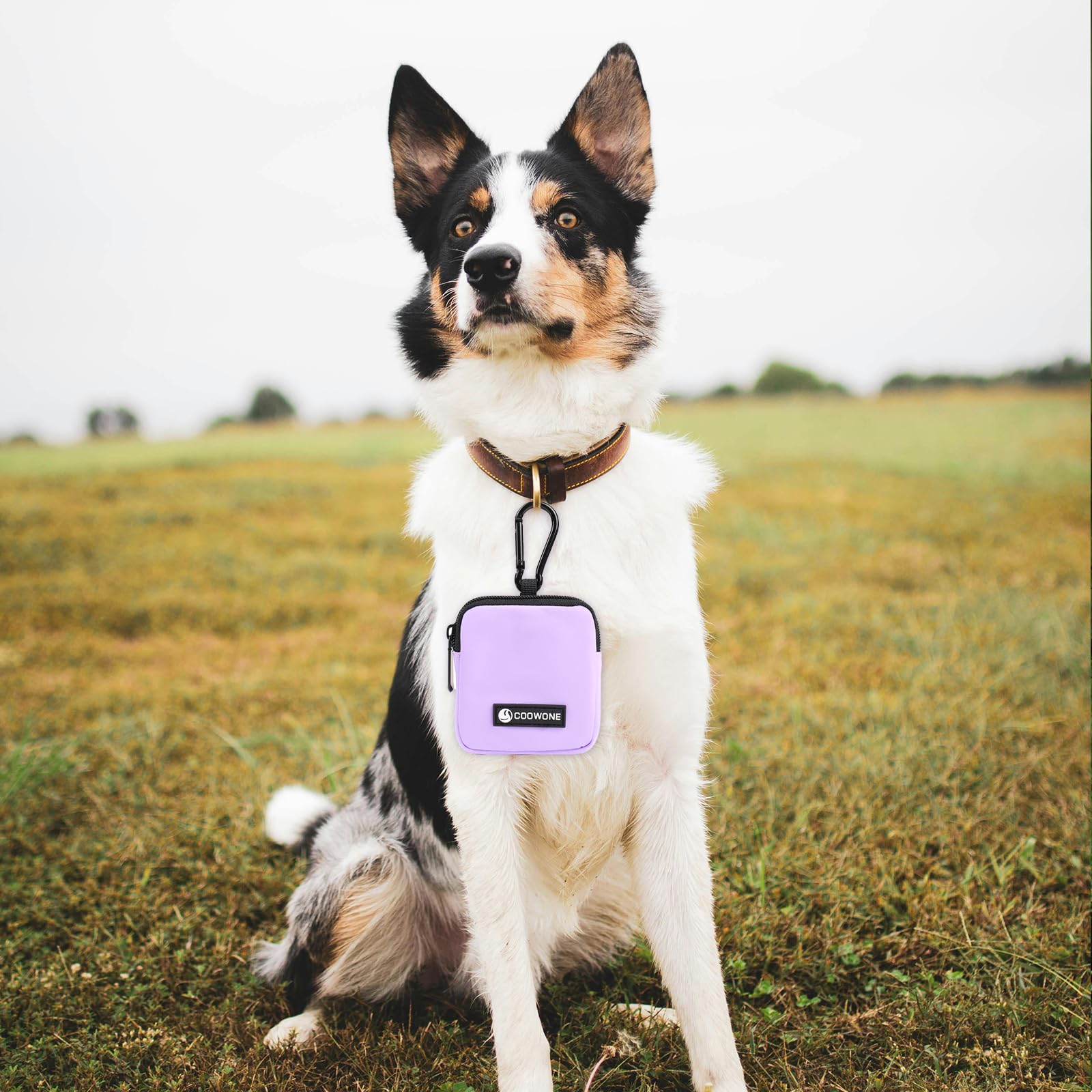 COOWONE accesorio práctico para entrenamiento y caminatas rápidas.