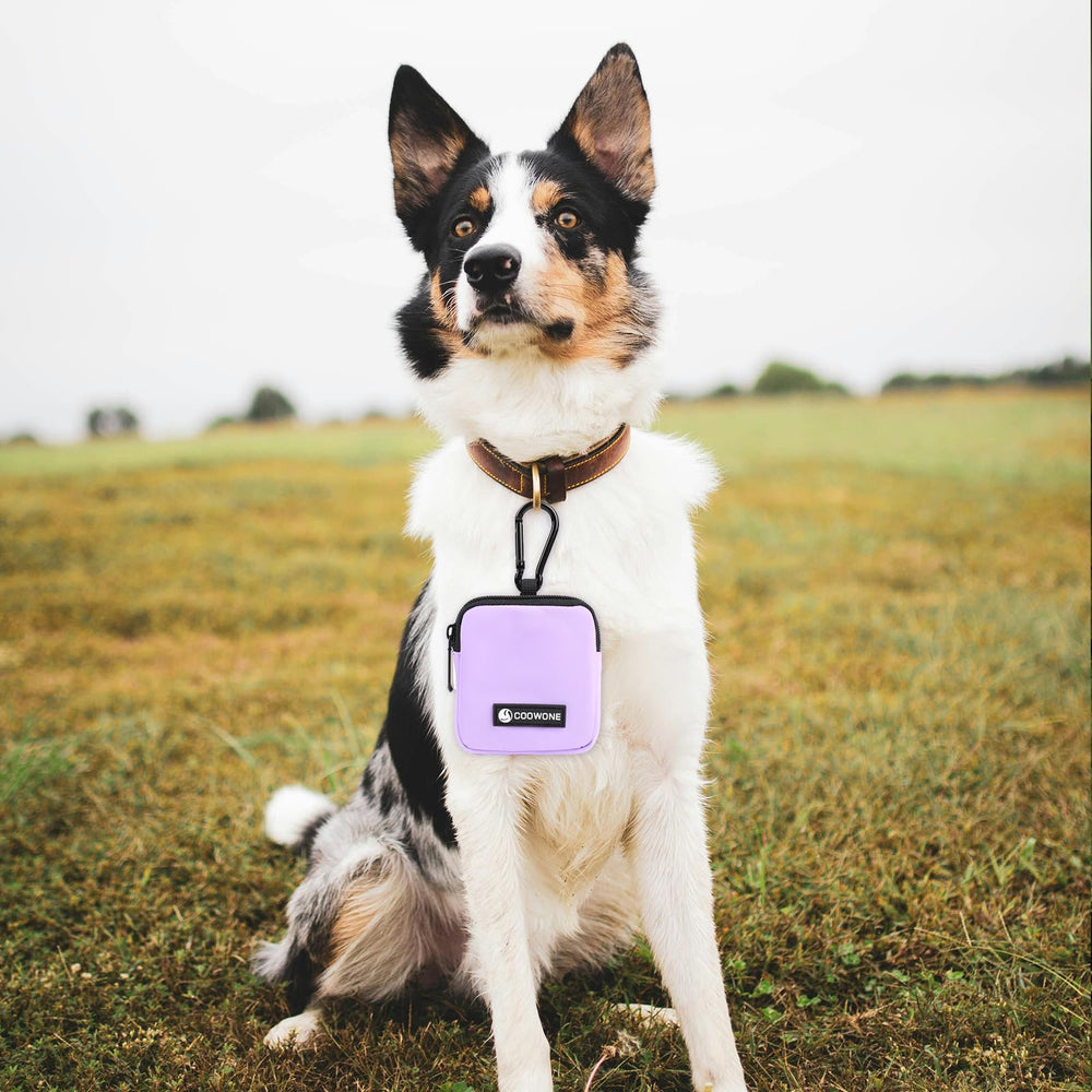 COOWONE accesorio práctico para entrenamiento y caminatas rápidas.
