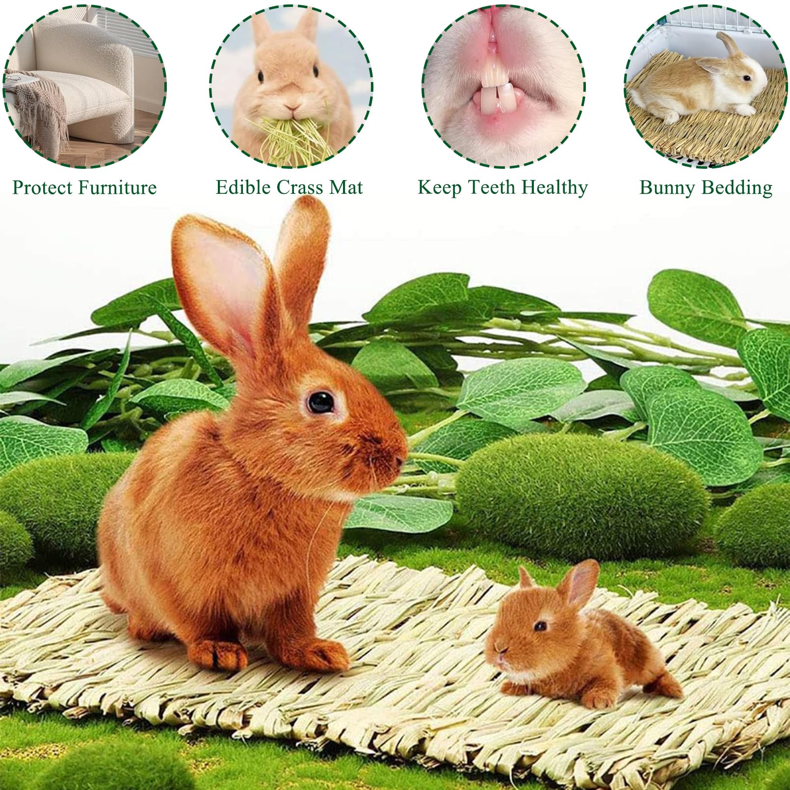 COTELEEC alfombra de hierba natural para pájaro, superficie natural para rascar y anidar.