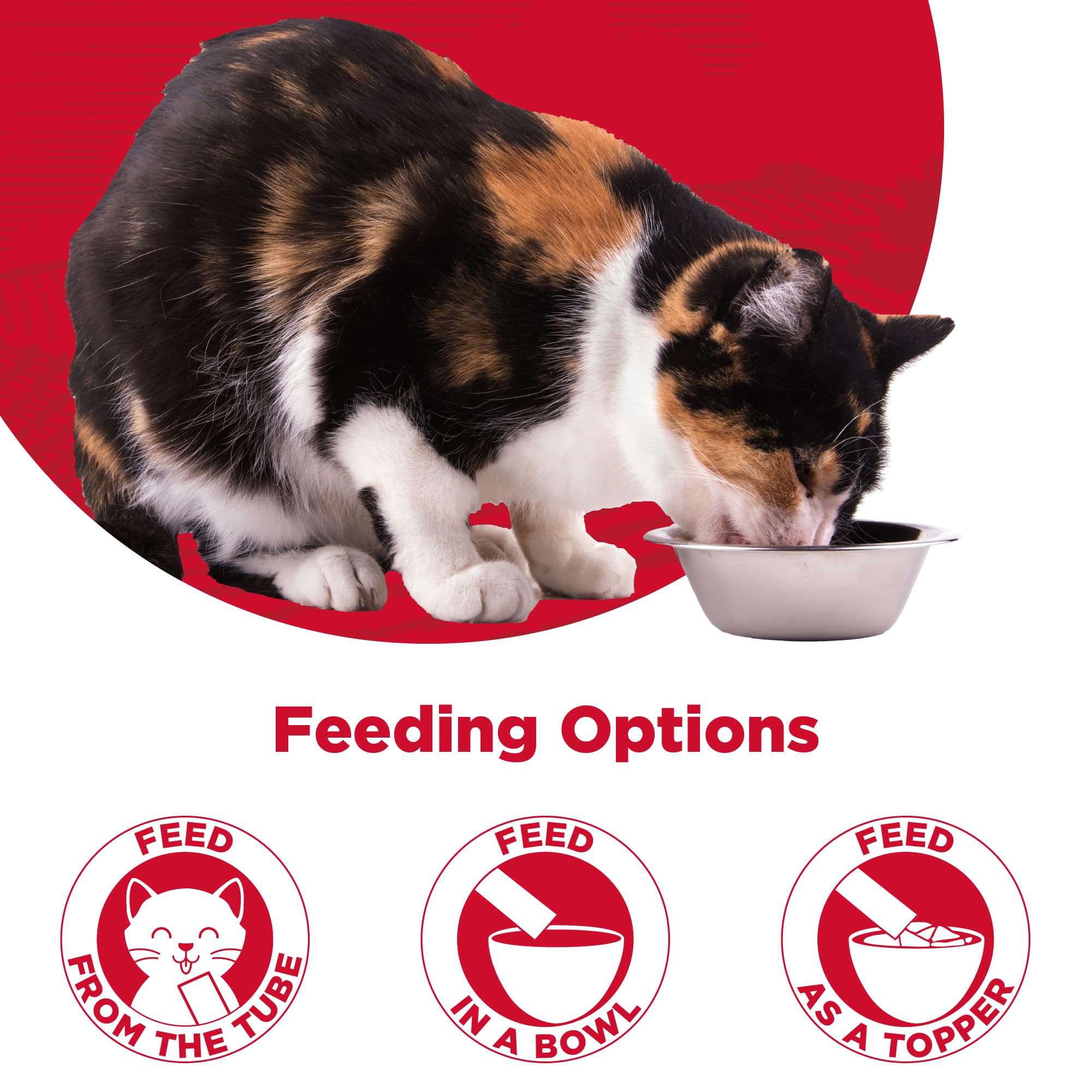 Country Kitchen Gato: tubo estofado, perfecto para servir como topper o snack.