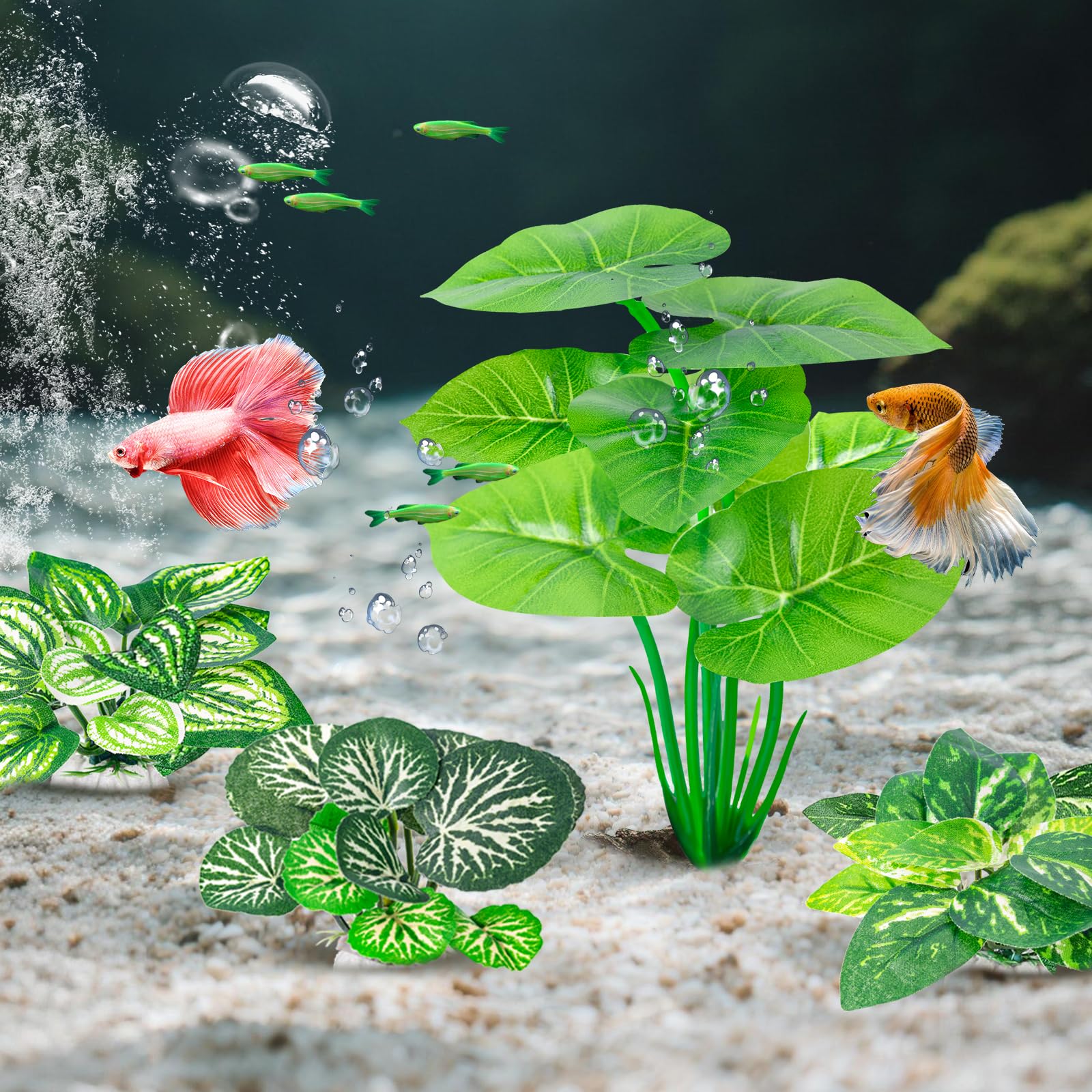 CousDUoBe conjunto de 12 plantas para acuario Betta, decoración completa.