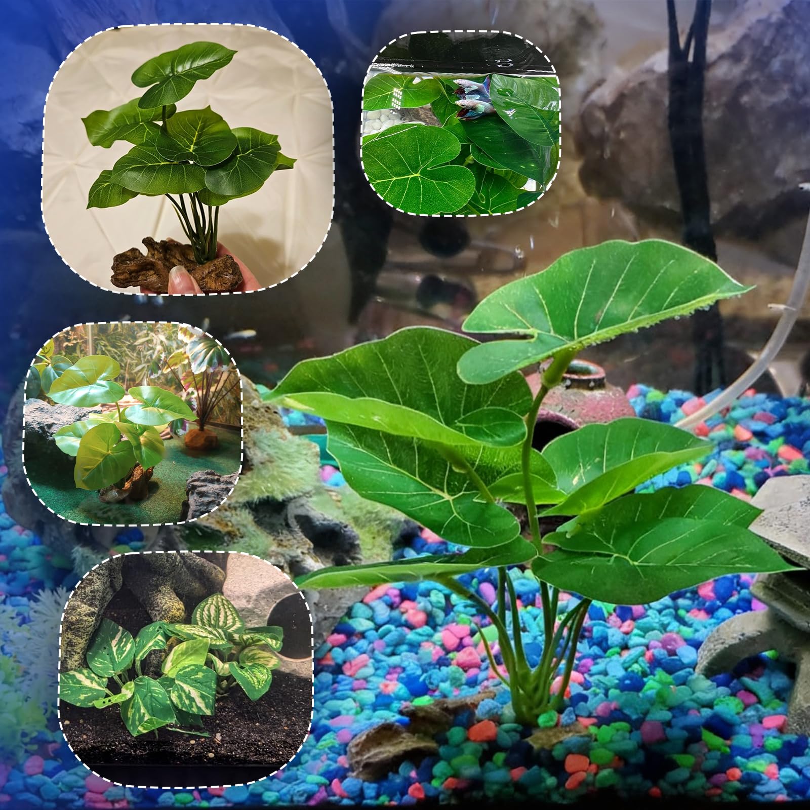 CousDUoBe decoración multiusos para acuario y hogar, vida natural en cualquier escena.