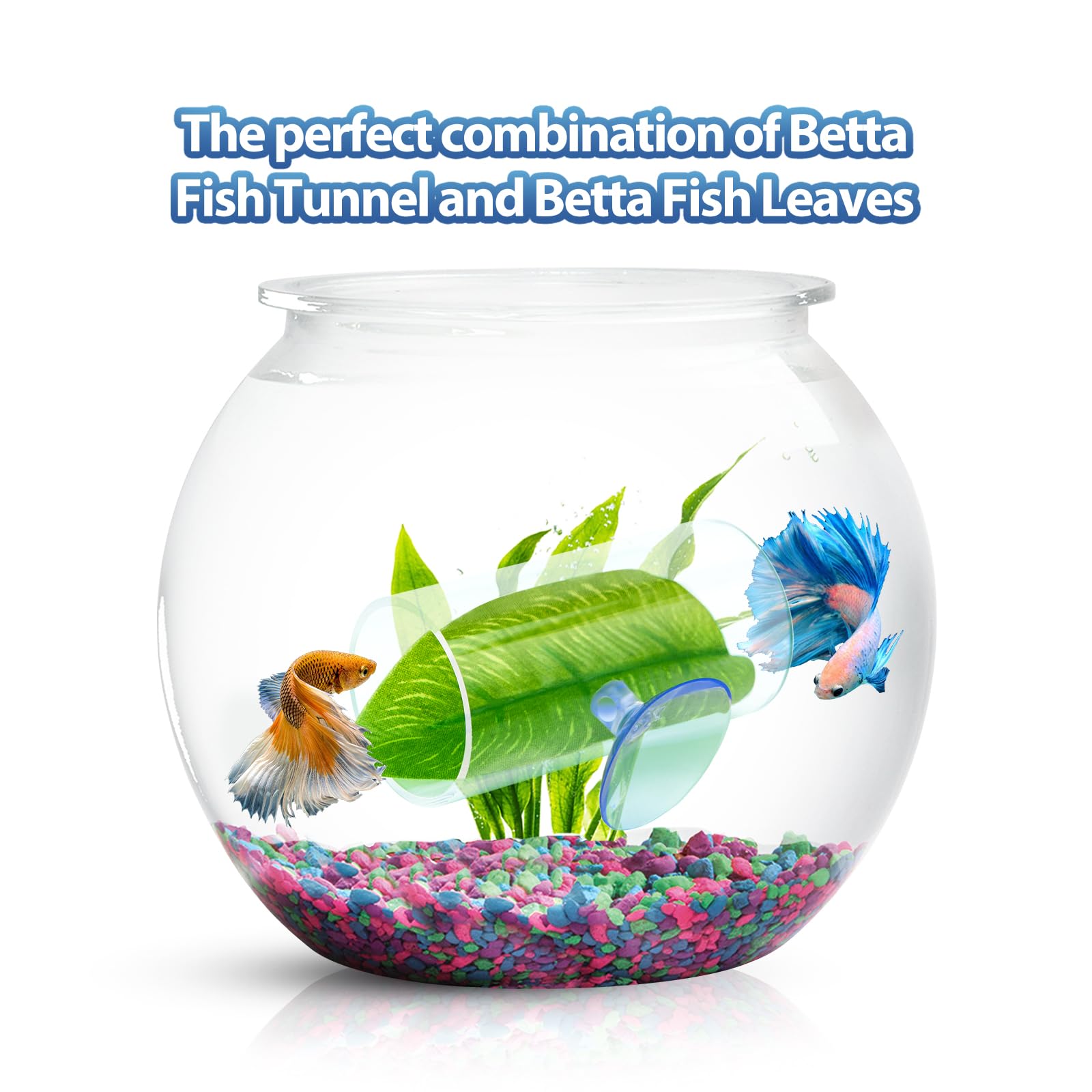 CousDUoBe túnel acrílico, limpieza fácil para Betta.
