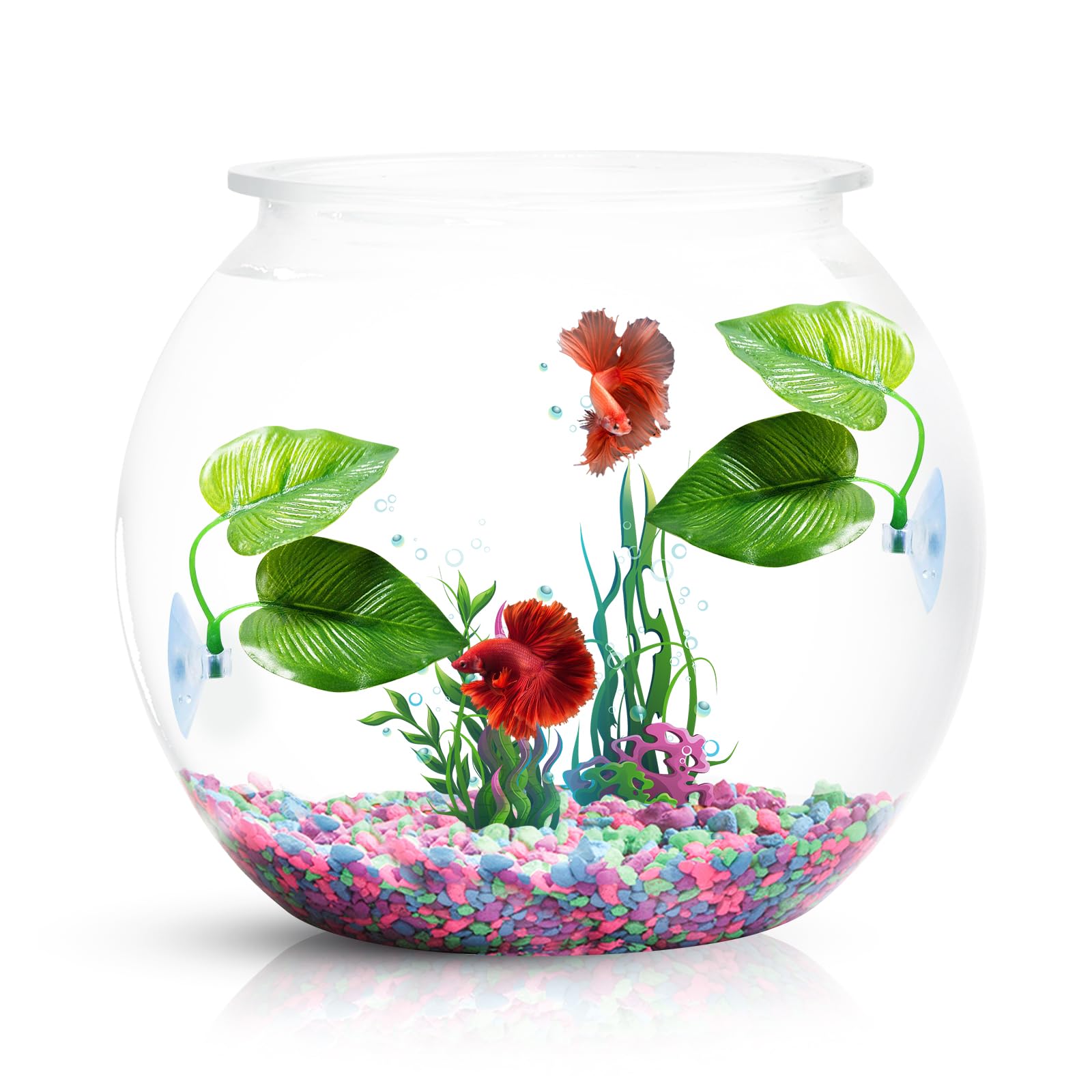 CousDUoBe hoja betta pequeña: descanso cómodo para el betta.
