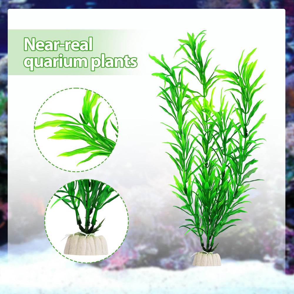 CousDUoBe plantas variadas para decorar con creatividad tu acuario