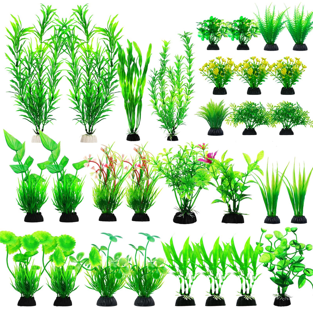 CousDUoBe plantas con base para fijarse y permitir nitrificación