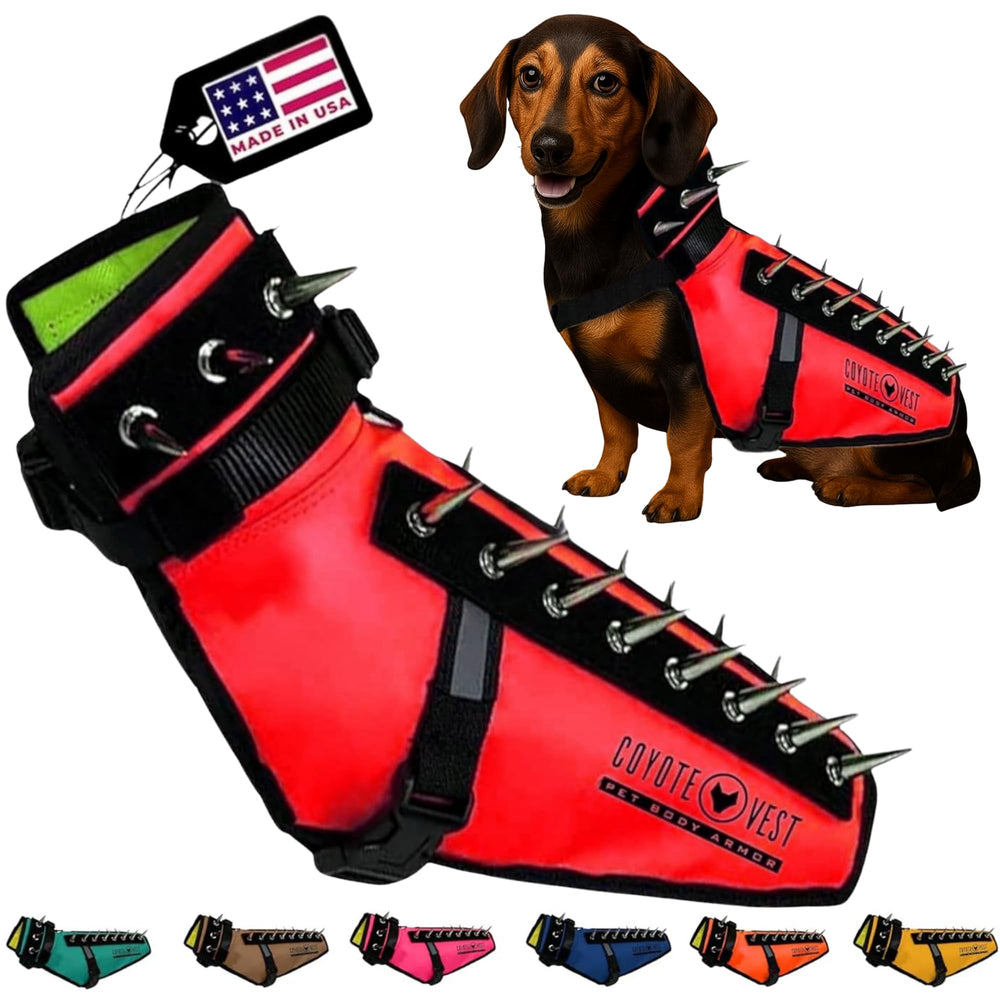 CoyoteVest chaleco de protección para perros, ideal para paseos seguros.