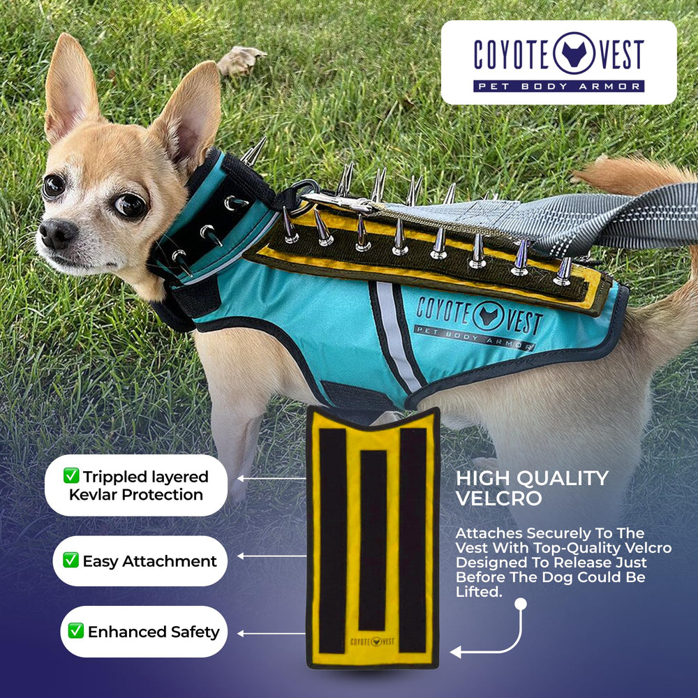 HawkShield en paseo diurno con colores fluorescentes para visibilidad.