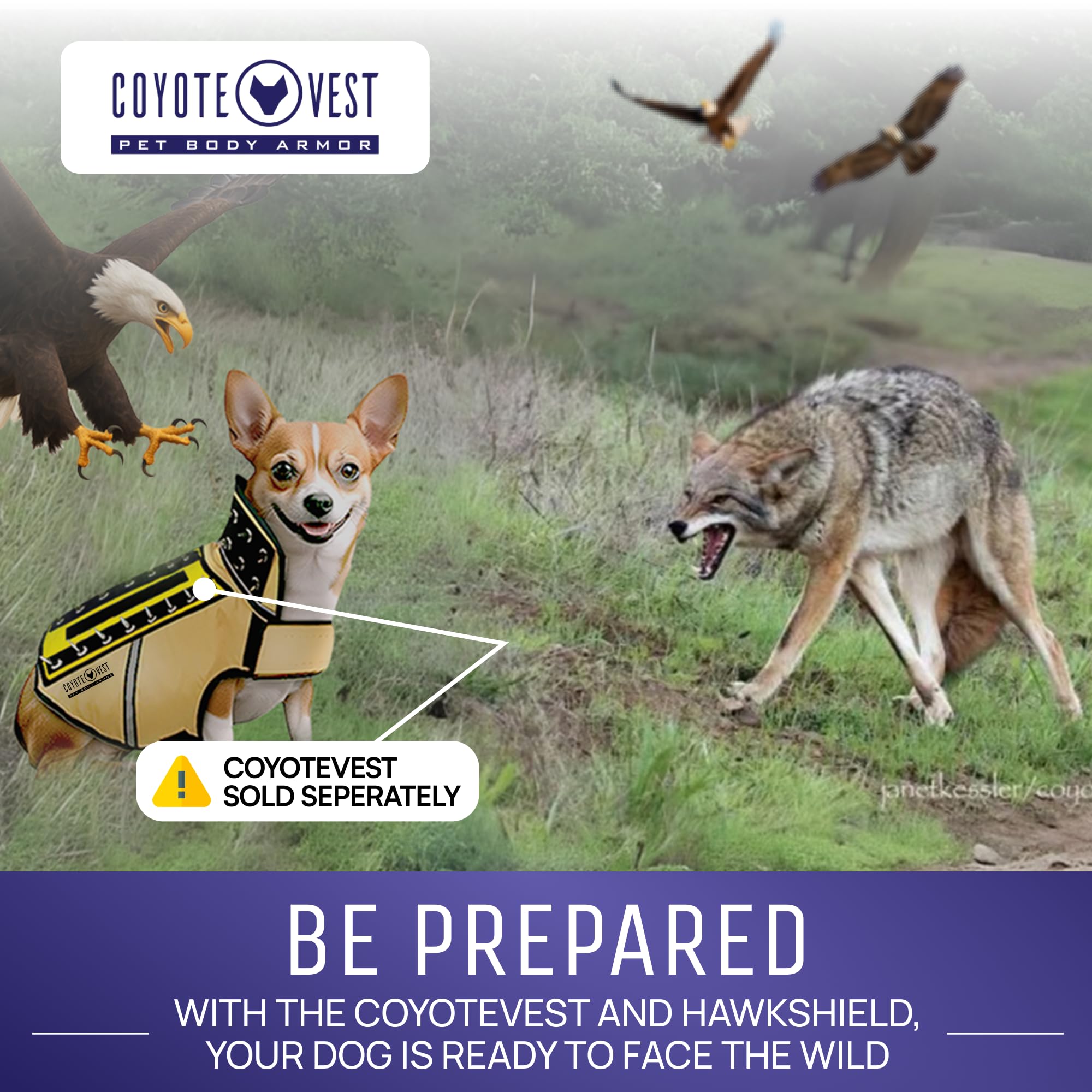 Tallas compatibles con CoyoteVest y SpikeVest para diferentes tamaños.