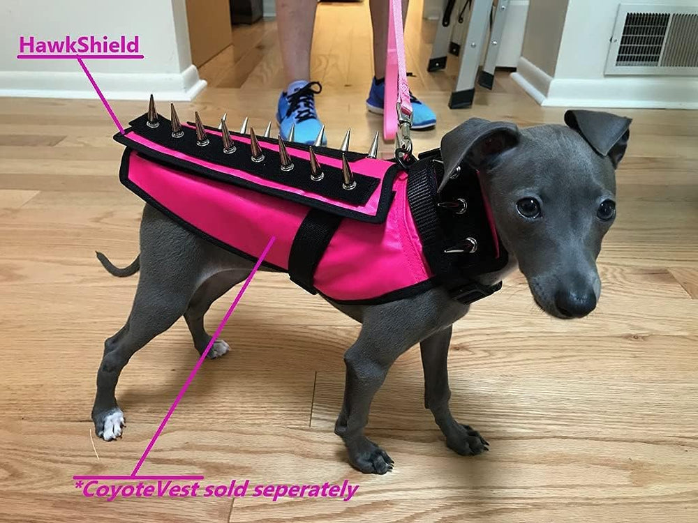 HawkShield en el arnés CoyoteVest con Velcro rápido para fijación segura.