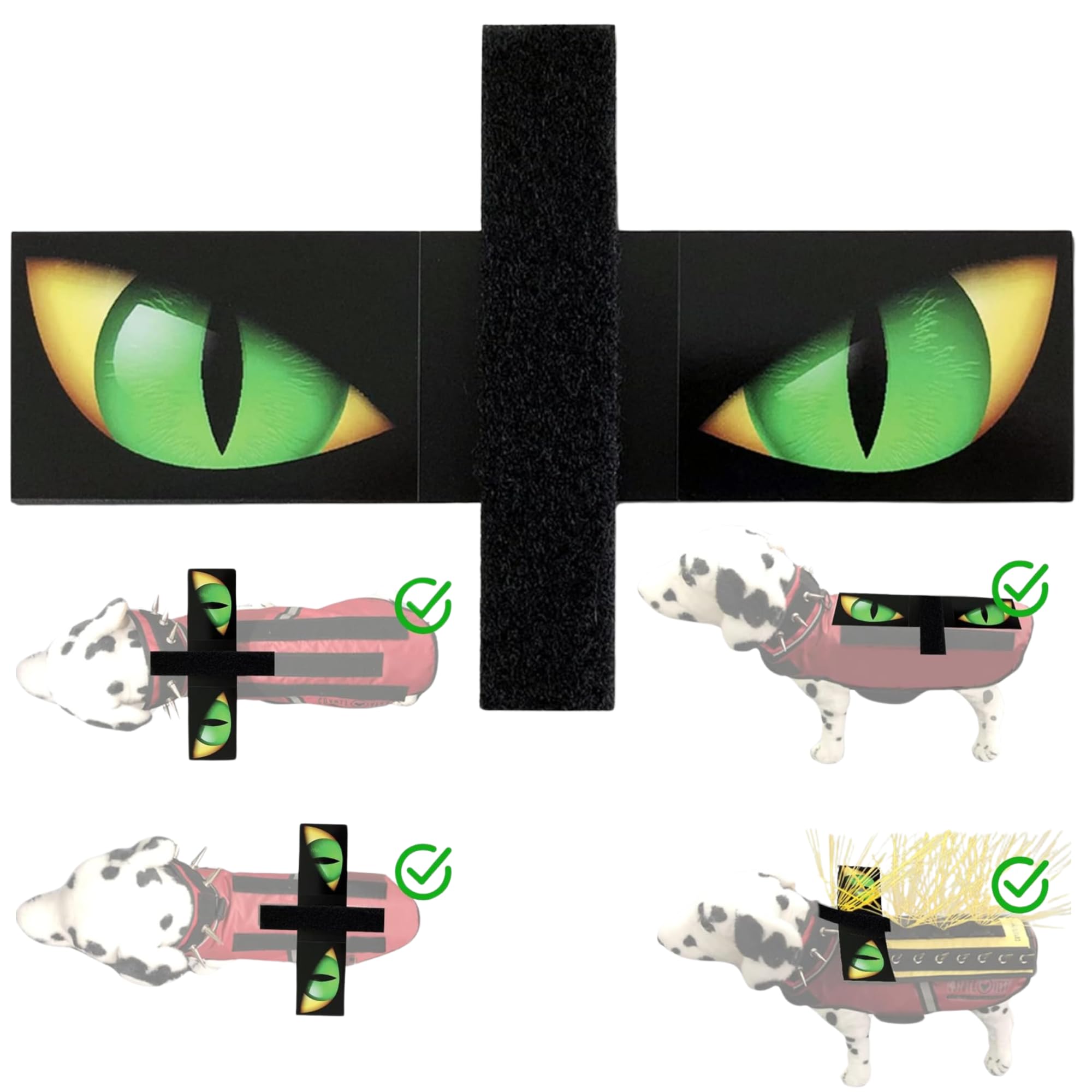 CoyoteVest ojos halcón grandes para disuadir aves de presa durante paseos.