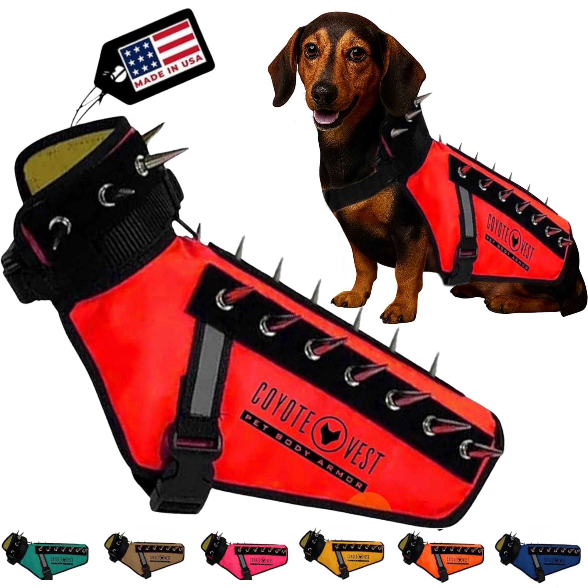 CoyoteVest púas removibles para defensa durante paseo con perro.