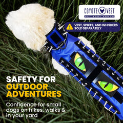 CoyoteVest protección perros: reduce el riesgo de ataques de aves durante caminatas.
