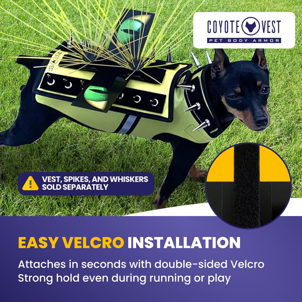 CoyoteVest seguridad sin compromisos: protege a tu perro en salidas al aire libre.