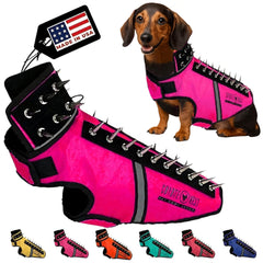 CoyoteVest SpikeVest para perros pequeños, enfoque en el ajuste del collar para mayor comodidad.