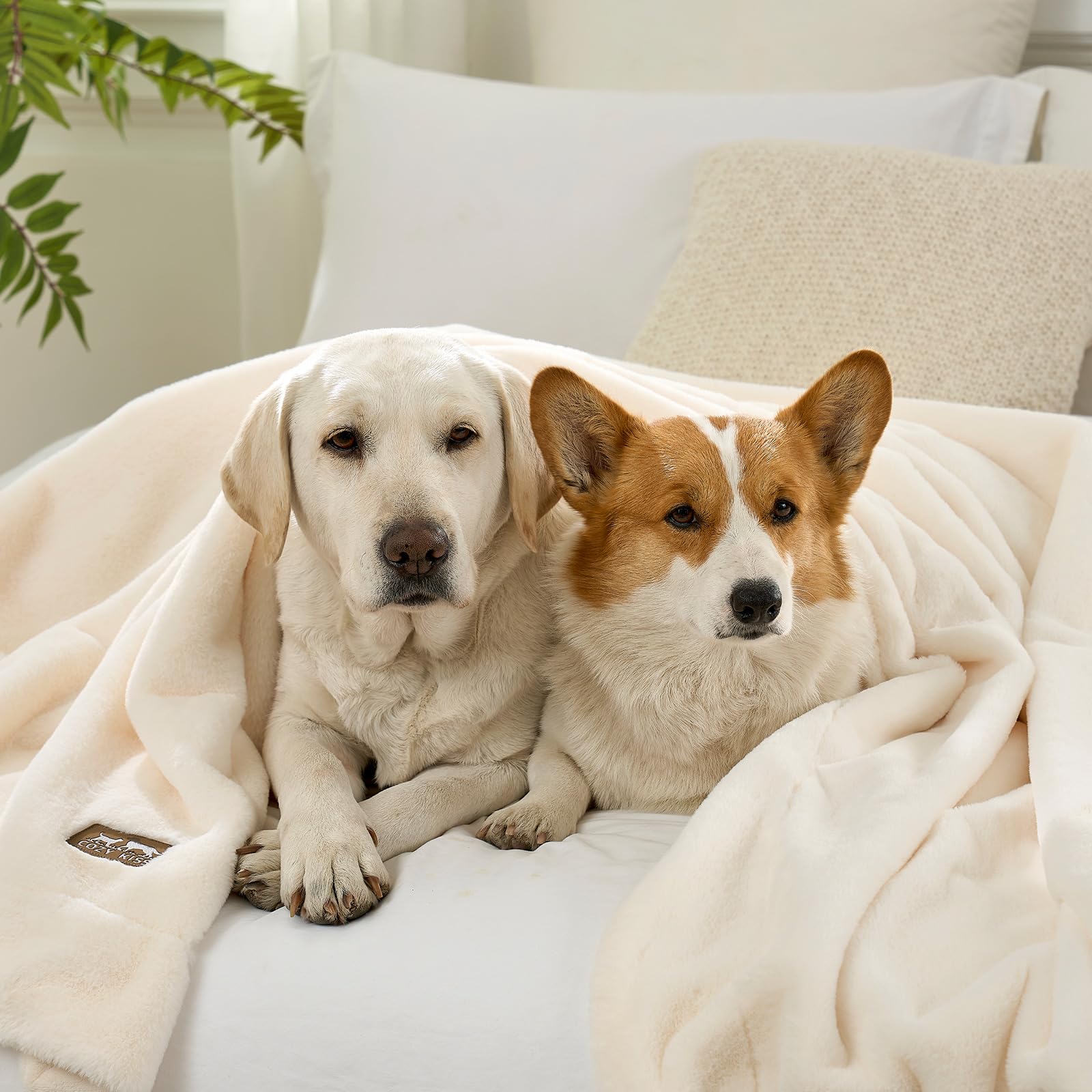 COZY KISS manta-confort-peluche-uso-cama-o-sofa: ideal para descanso.