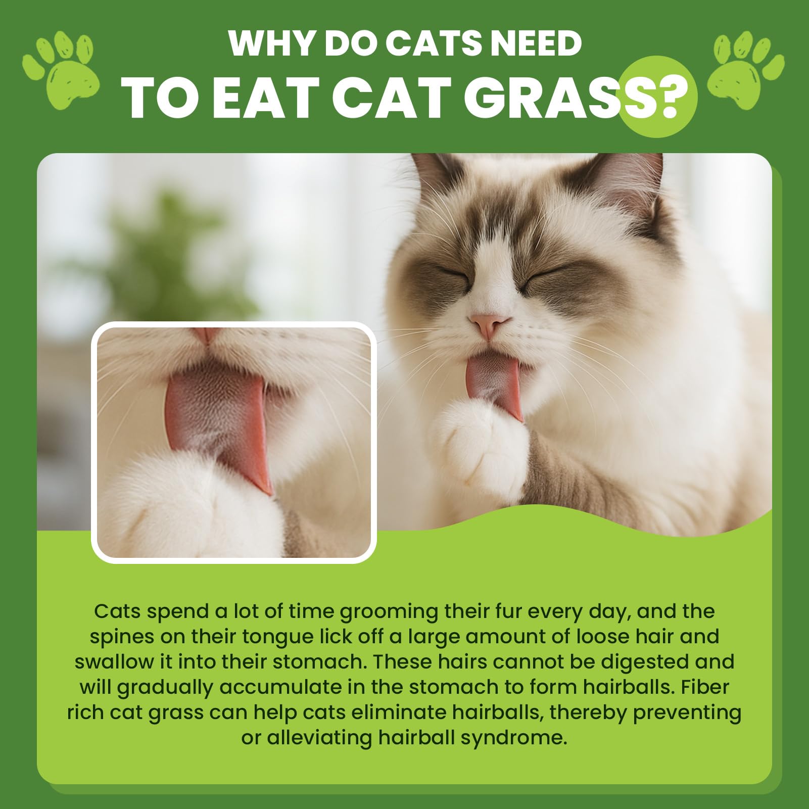 CPFK Higiene dental-gato hierba: boca fresca y limpia.