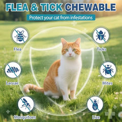 CPFK ingredientes seguros y sin GMOs para gatos de todas las edades.