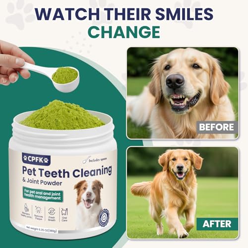 Perro feliz con aliento más fresco gracias a CPFK polvo dental para perros.