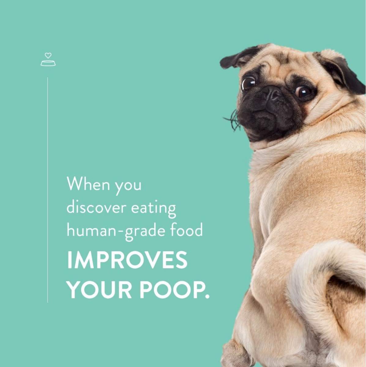 CRAFTED BY HUMANS LOVED BY DOGS dona a refugios