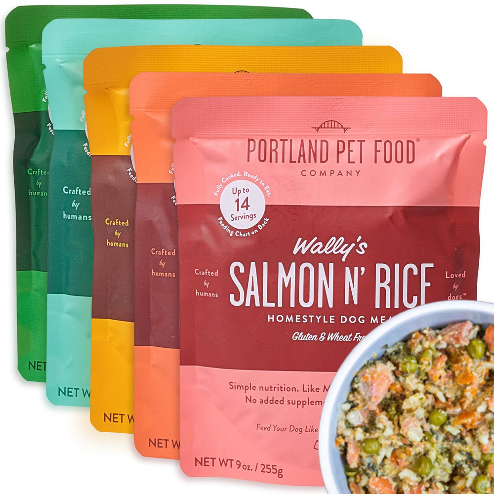 CRAFTED BY HUMANS LOVED BY DOGS: salmón con arroz sobre, alimento húmedo sabroso para perros