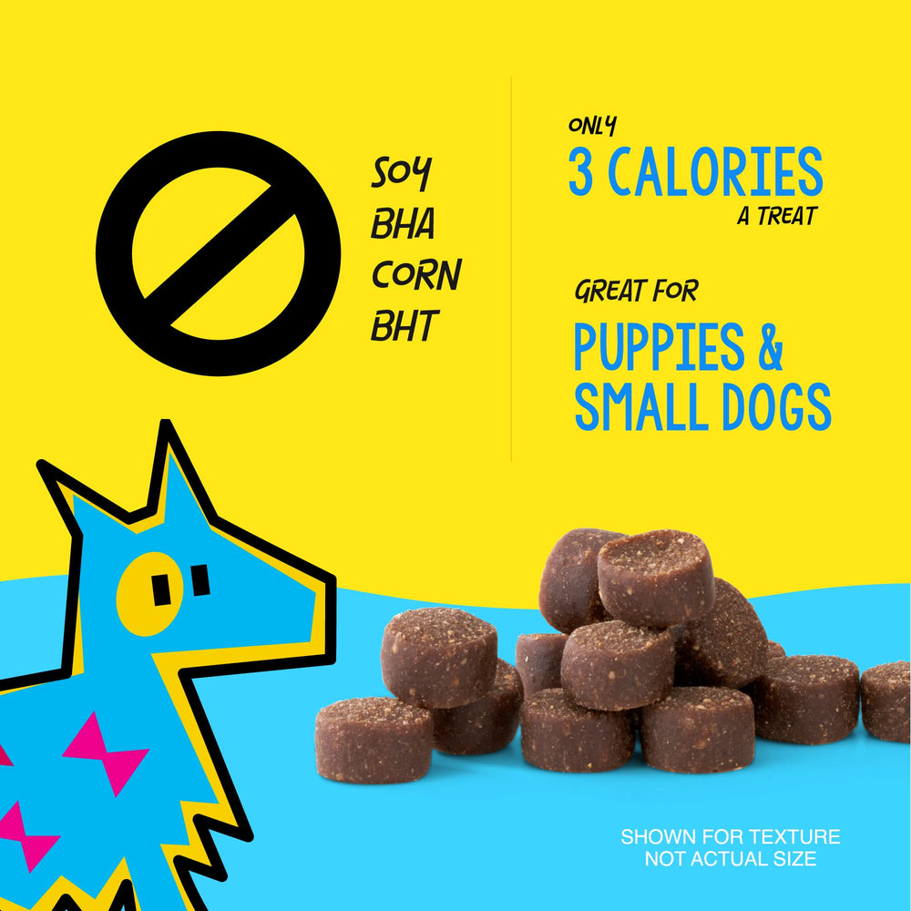 Crazy Dog Train-Me! presentación lista para sesiones de entrenamiento exitosas.