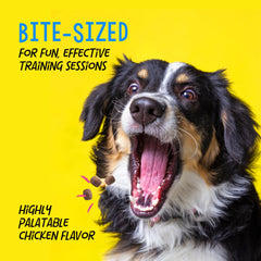 Crazy Dog Train-Me! textura masticable que facilita guiado durante sesiones.