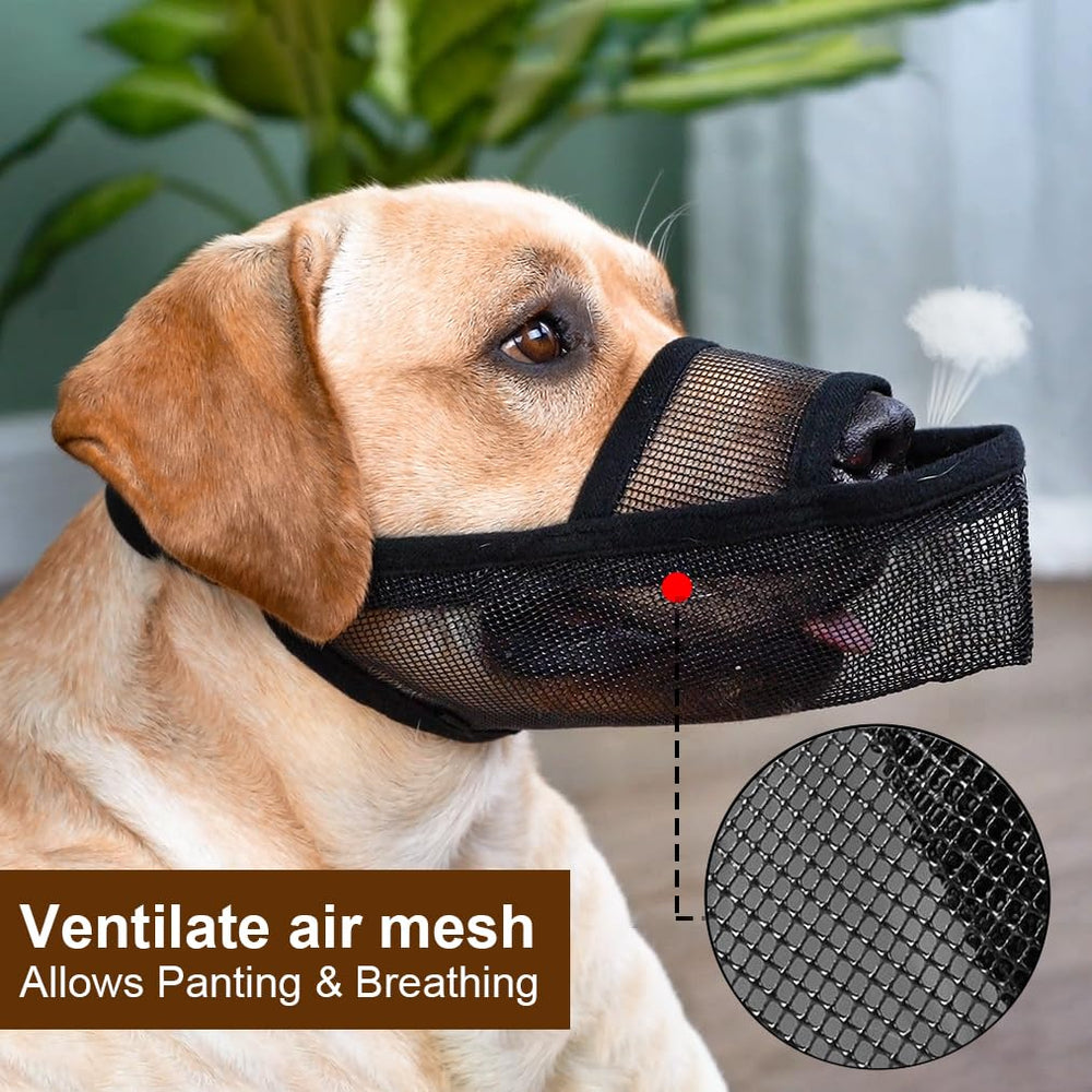 Crazy Felix Bozal nylon para visitas al veterinario y grooming.