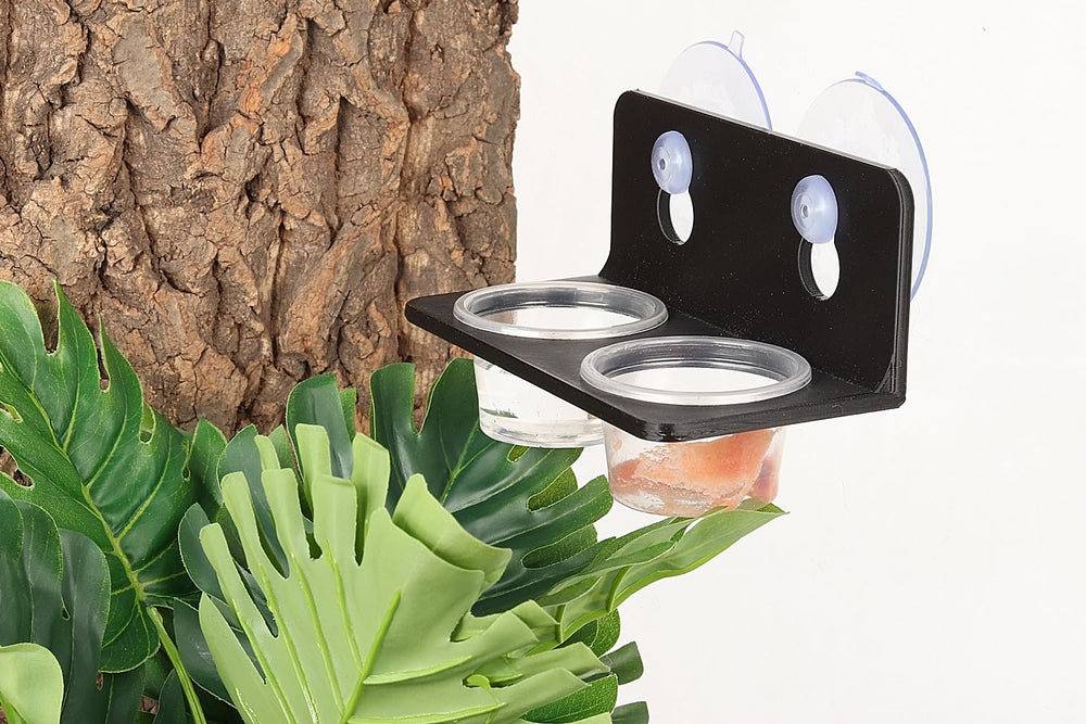 CRITTZOO taza de alimento transparente permite ver la comida y su estado.