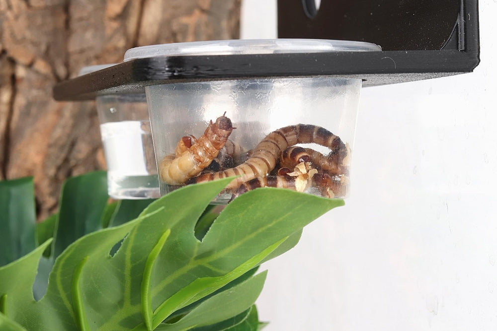 CRITTZOO usos para insectos vivos o frutas, facilita la alimentación.