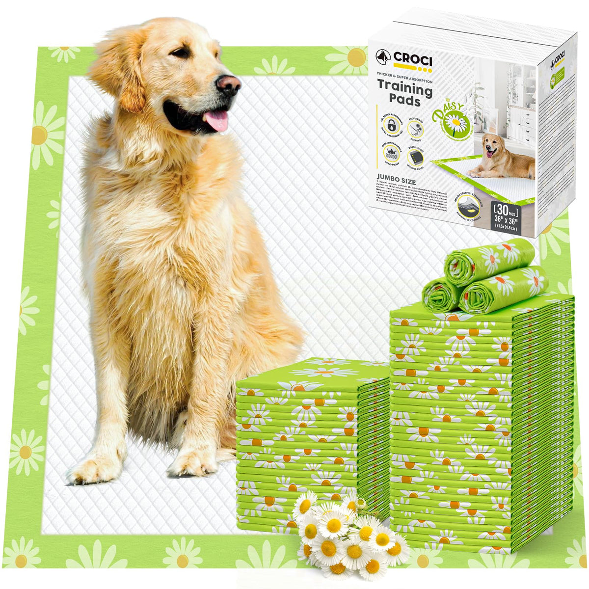 Croci almohadilla Daisy 36x36: ajuste cómodo para entrenamiento en casa