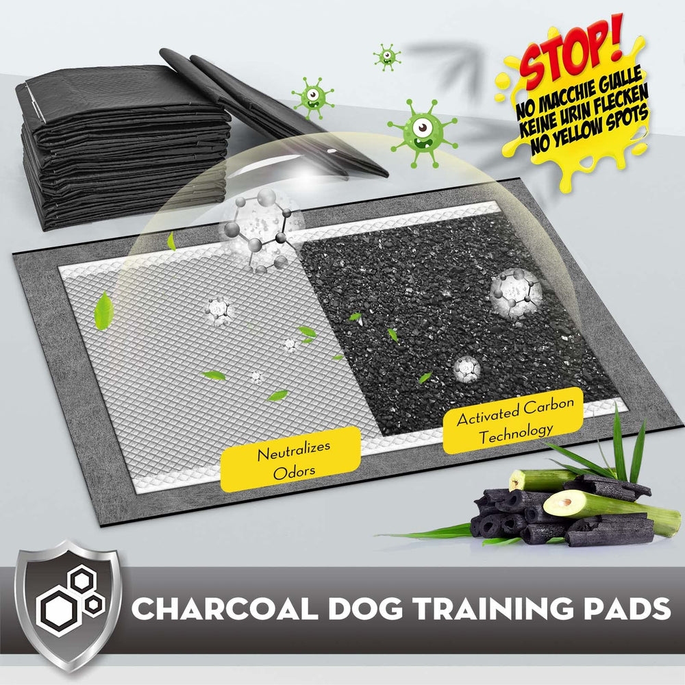 Croci almohadilla de entrenamiento carbón activo, secado rápido para suelos limpios.