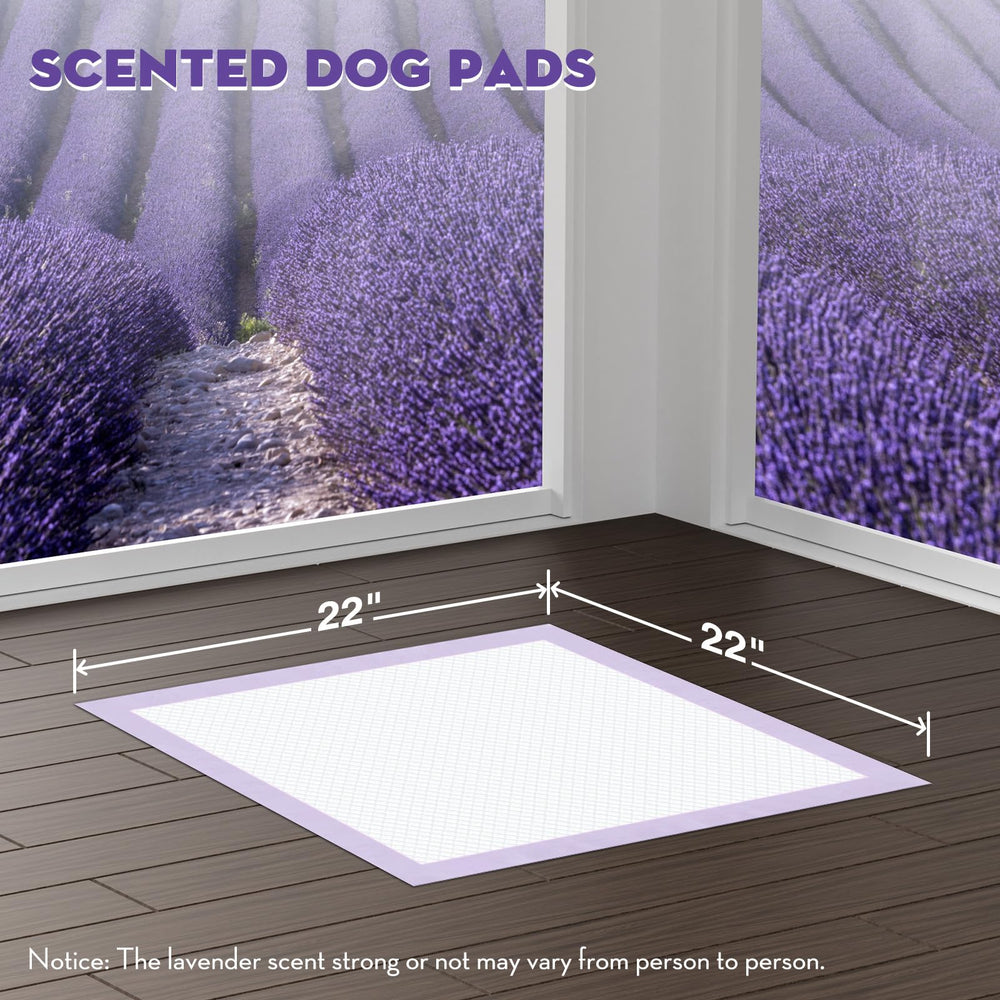 Croci almohadillas absorbentes de 3 tazas para entrenamiento limpio.