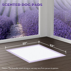 Croci almohadillas absorbentes de 3 tazas para entrenamiento limpio.