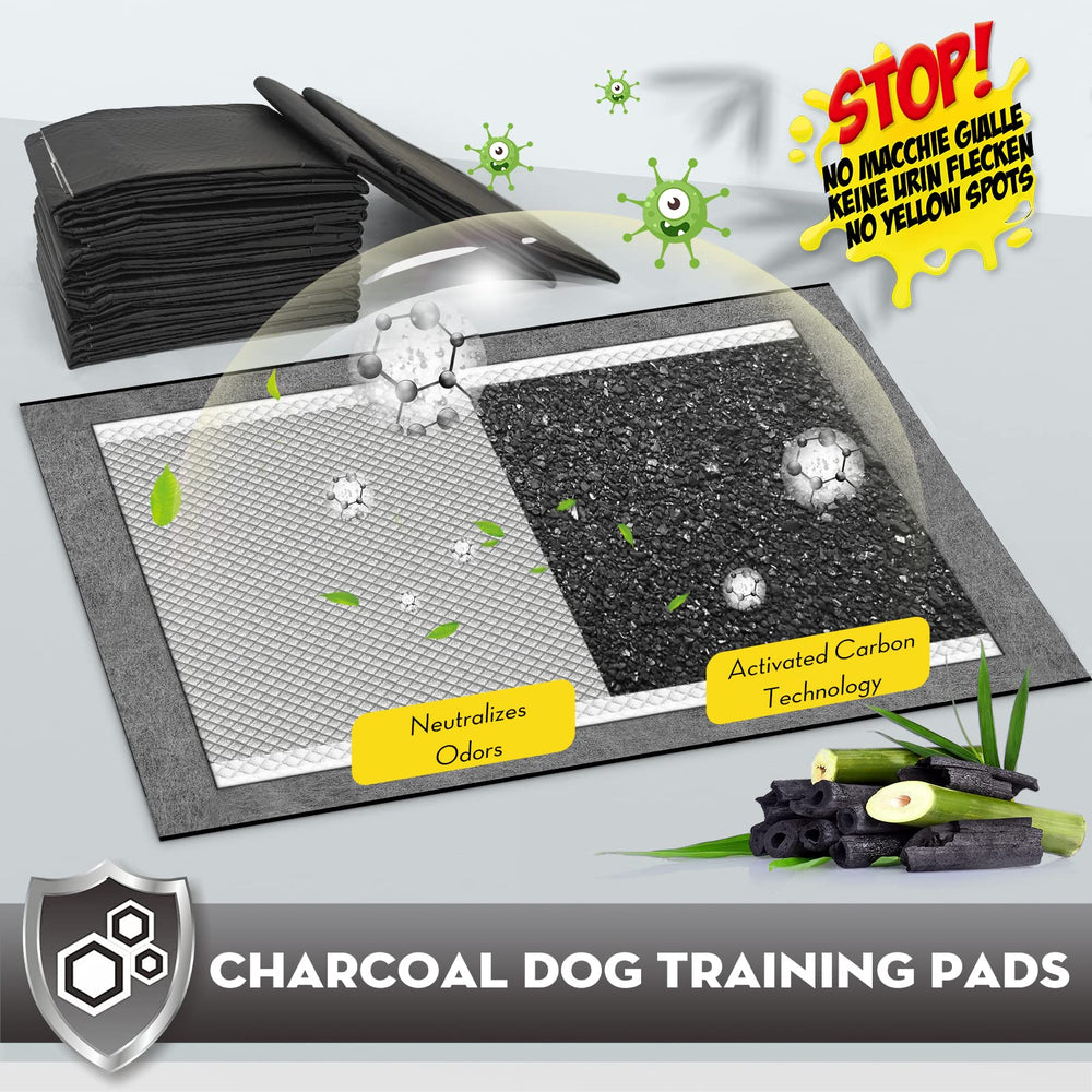 Croci almohadillas para pis de perro XXL, absorción instantánea para superficies secas.