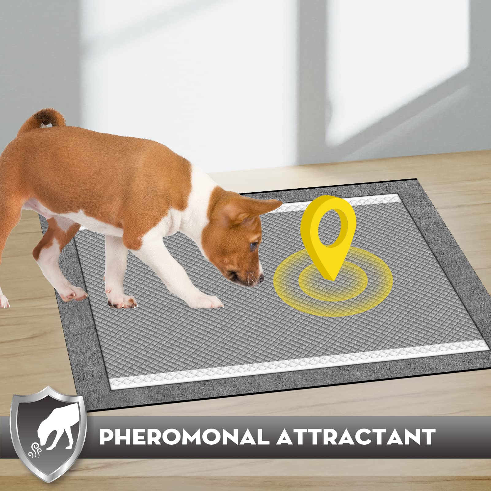 Croci bordes de 2,2 pulgadas reducen desbordes y manchas