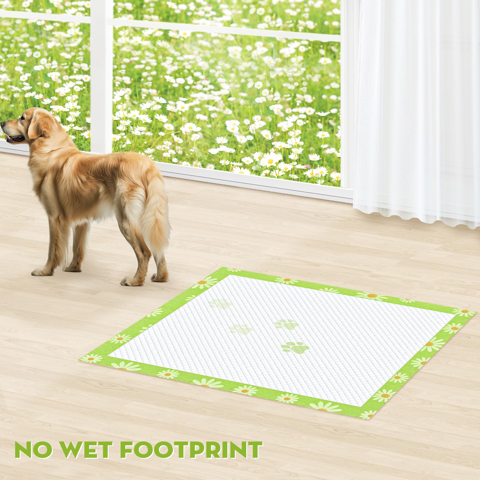 Croci núcleo superabsorbente Daisy 36x36: retención eficiente de líquidos