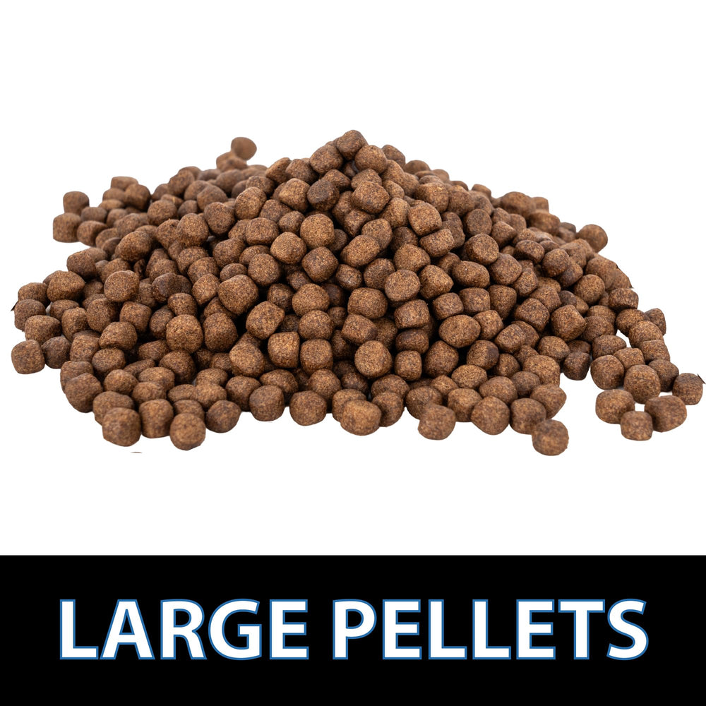 CrystalClear Platinum: granulos 3mm para peces pequeños, alimentacion ajustada.