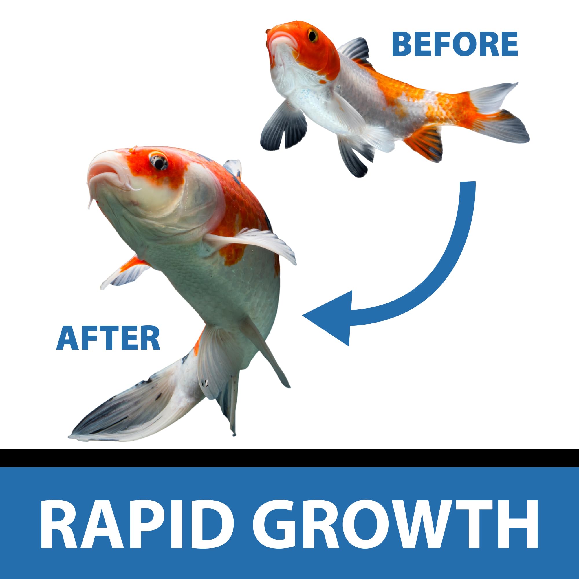 CrystalClear Platinum: spirulina para color