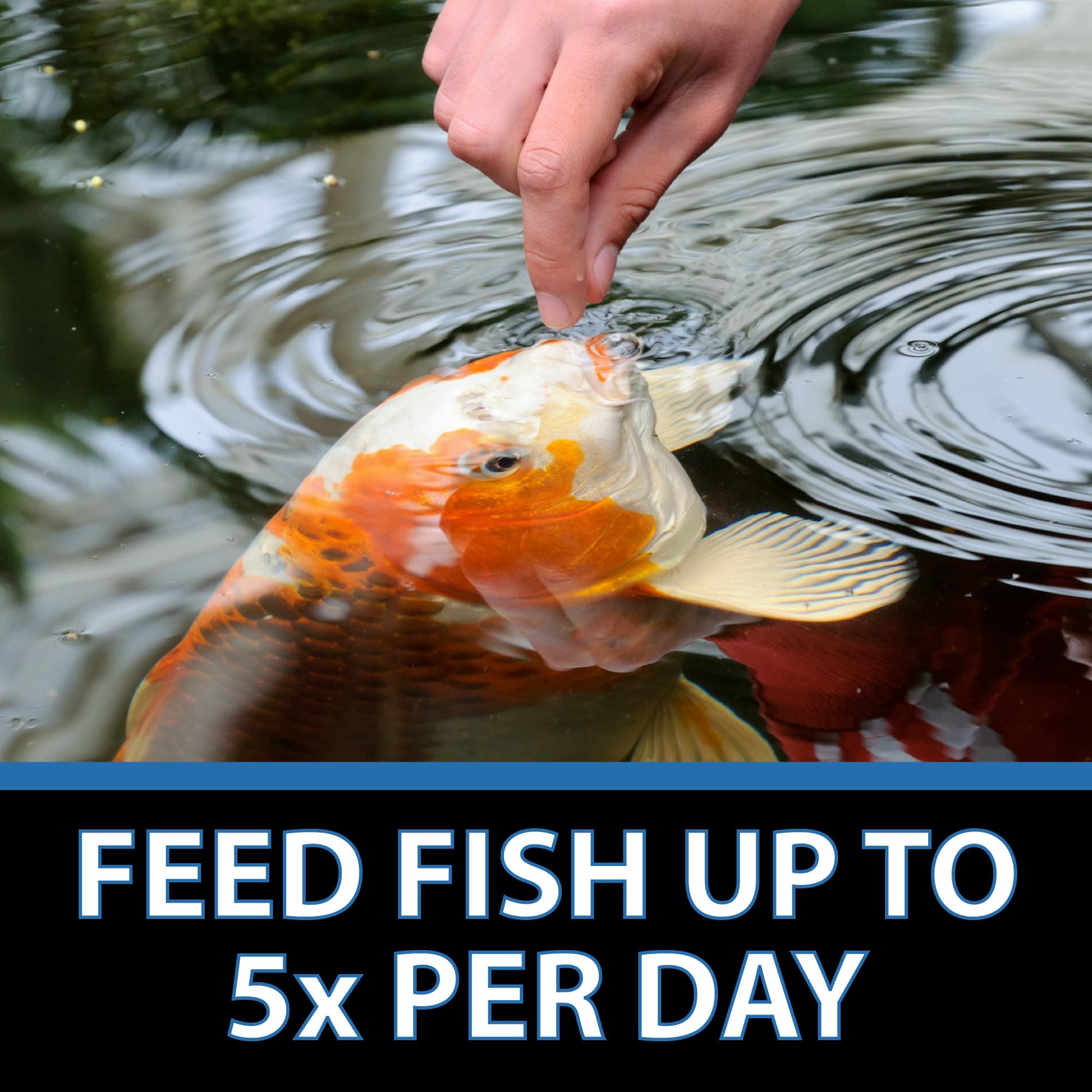 CrystalClear Staple para koi y peces adultos: alimentación estable para estanques.