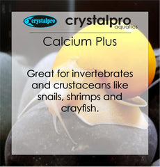 crystalpro calcio-plus acuario marino con arrecifes y corales sanos
