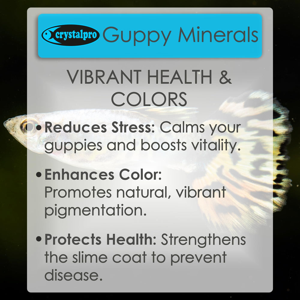 Acuario con guppíes activos gracias a Crystalpro Guppy Minerals.