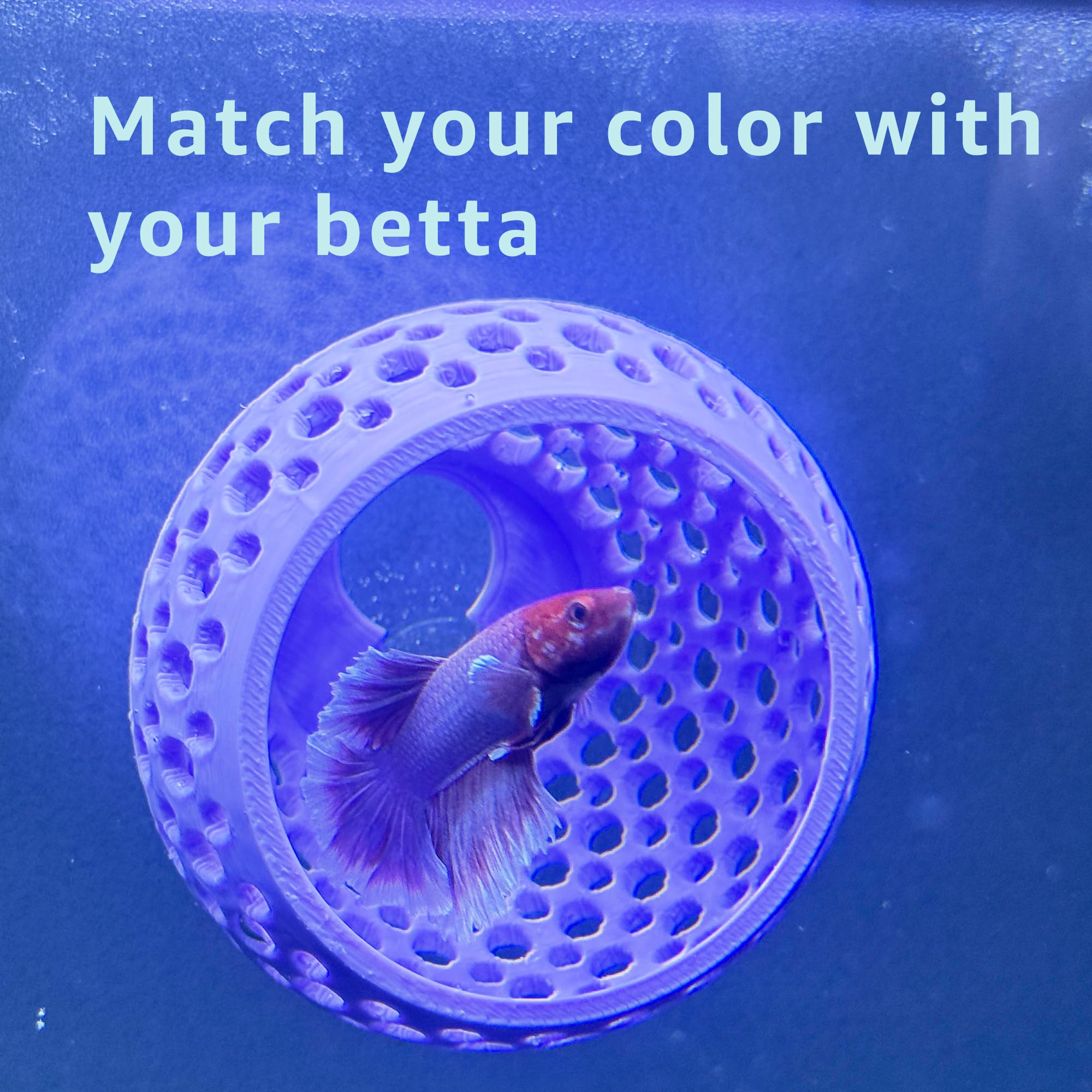 CTWPets Betta Bulb Hide 2.0: fácil fijación y limpieza.