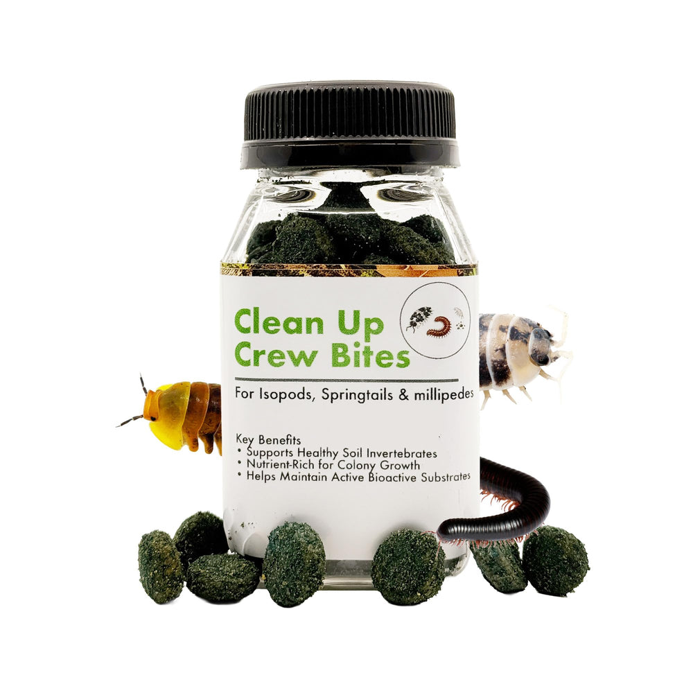 CTWPets Clean Up Crew Bites frasco 2.5 onzas para terrarios, mantiene microfauna activa.