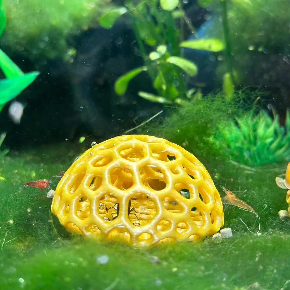 CTWPets Domo Materiales Saludables: elaborado con materiales seguros para peces y camarones.