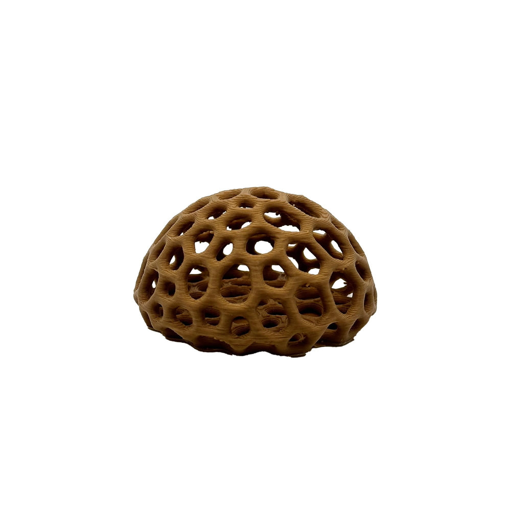 CTWPets refugio domo de acuario, diseño natural para camarones cereza